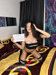 Escorts Toronto, Ontario TS SHINA